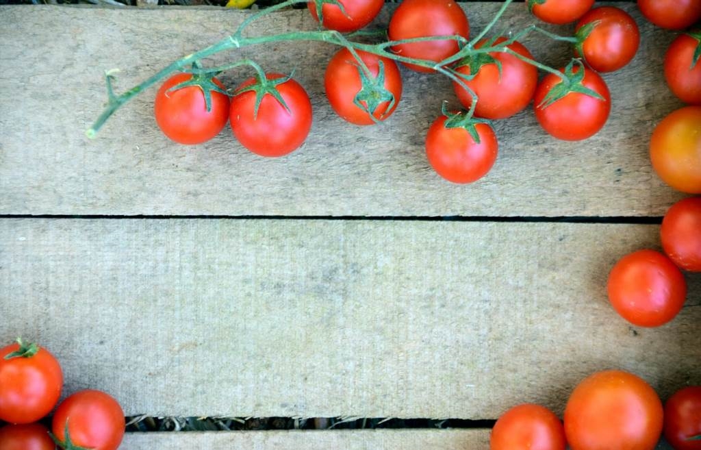 jaki sznurek do podwiązywania pomidorów