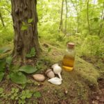 Naturalne metody zdrowienia – Skuteczne sposoby na poprawę zdrowia bez leków